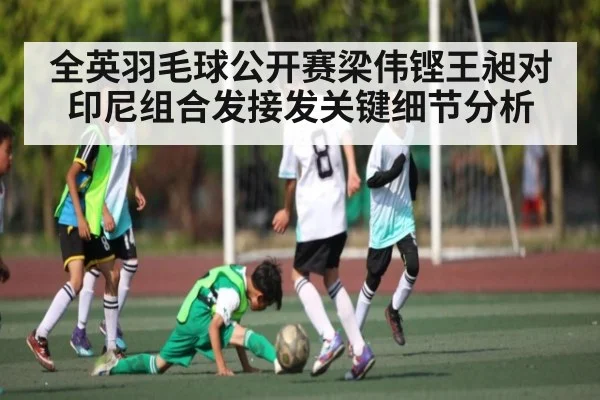 全英羽毛球公开赛梁伟铿王昶对印尼组合发接发关键细节分析